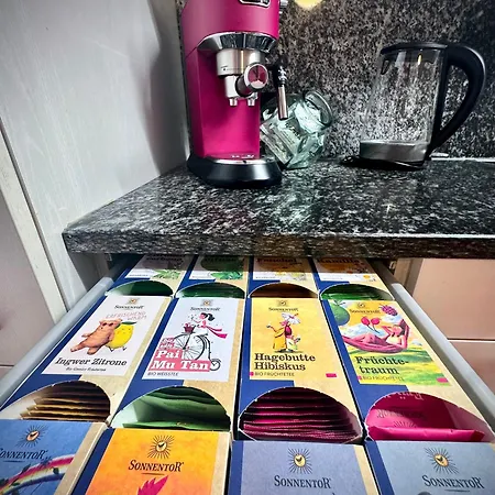 펜션 Ida's Hues Reckingen